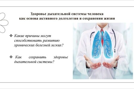 Здоровье дыхательной системы человека как основа активного долголетия и сохранения жизни