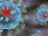 Cмертность от коронавируса в России за август выросла в три раза